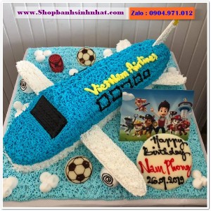 Bánh Sinh Nhật Máy Bay - MA21